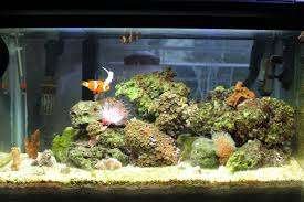 What is an aquarium controller?